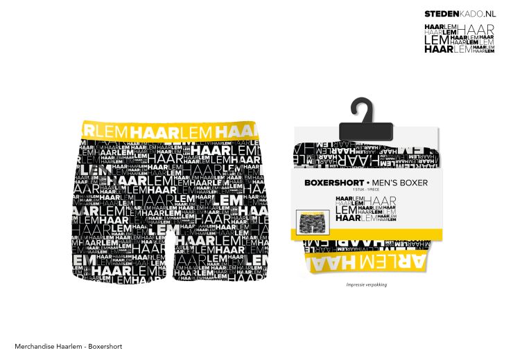BOXERSHORT HAARLEM - Maat L