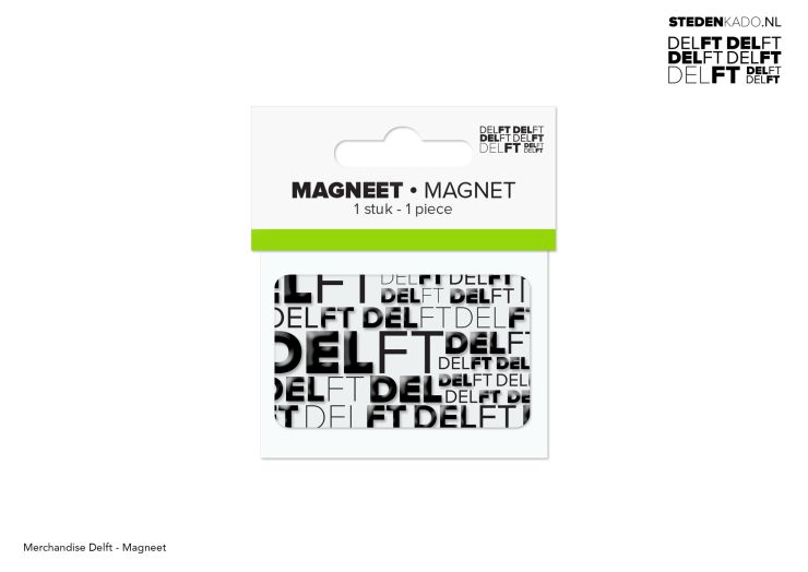 MAGNEET DELFT