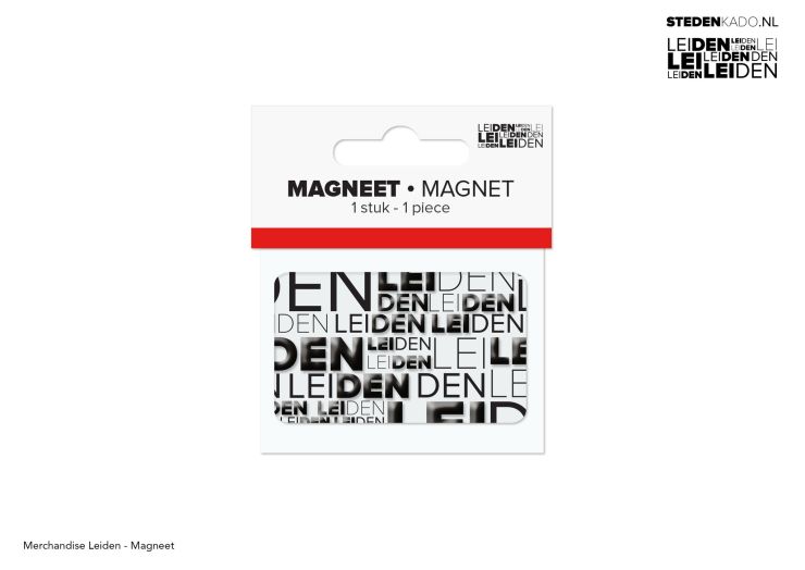 MAGNEET LEIDEN